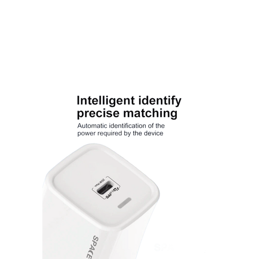 SPACEthing Cube Plus 25W Type-C GaN Wall Charger With Cable USB C TO USB C
