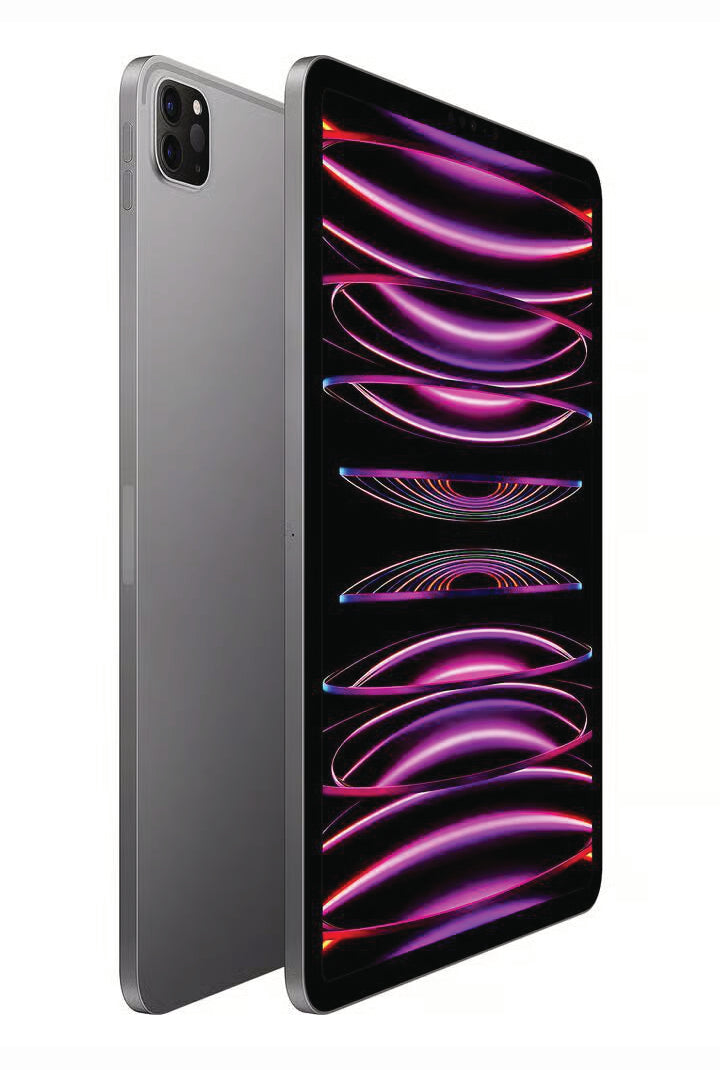 iPad Pro (4th Gen) 11 Inch WiFi - 128GB  - Space Gray - Pre-Owned