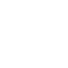 Apple Certified