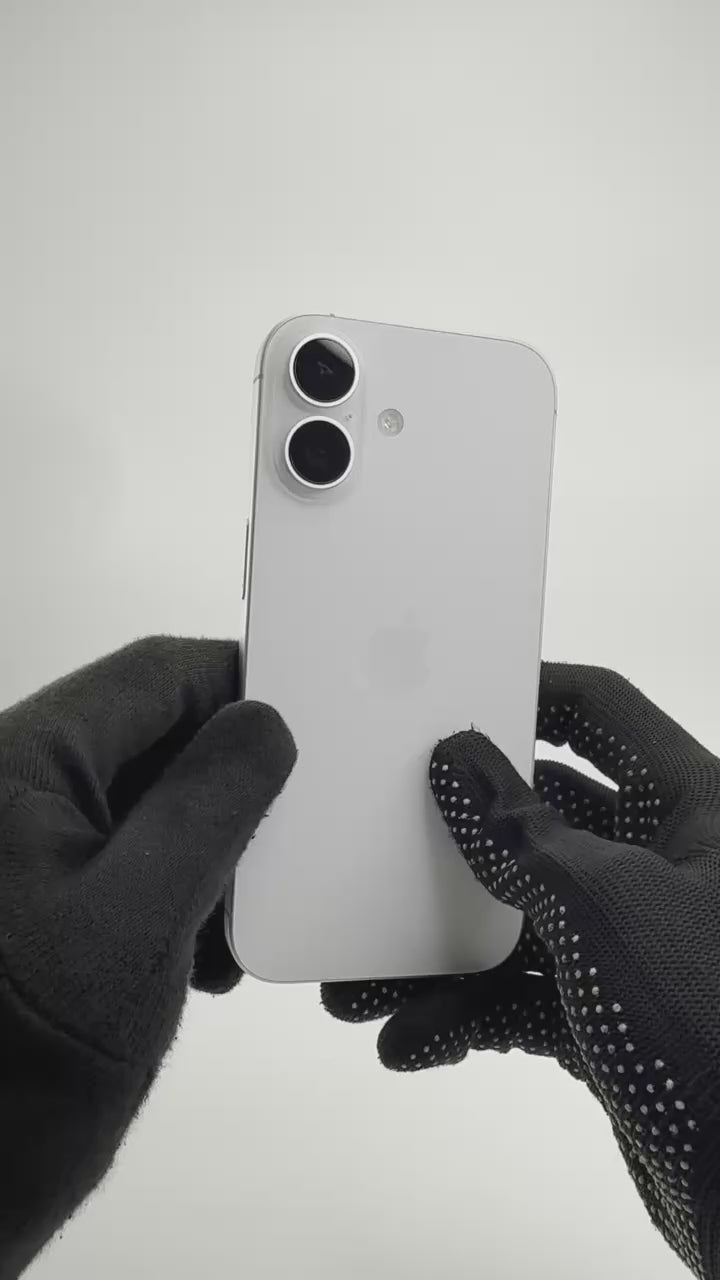Video for M1XHX42WCR.mp4