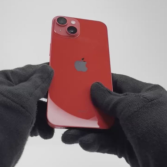 Video for NYX34G3G9L.mp4