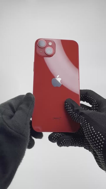 Video for X31RF6QFQX.mp4